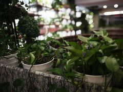 -回家湘(西区名仕店)