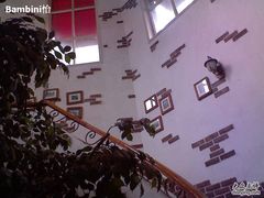 通往地下的旋转楼梯-嘉喜来比萨(罗马花园店)