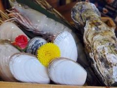 -矶野水产(澳门逸园中心店)
