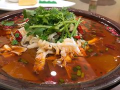 川味毛血旺-椿不老