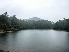 -余姚四明湖开元名都度假酒店·夏威夷西餐厅