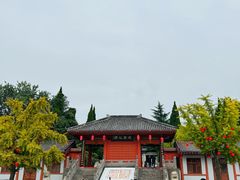 -函谷关历史文化旅游区