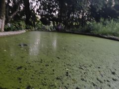 -成都市活水公园