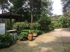 -铁山坪森林公园