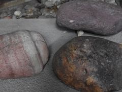 -中国第四纪冰川遗迹陈列馆