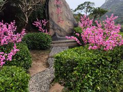 -桃花岛风景旅游区