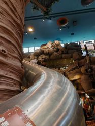 -卡通尼·Safari非洲探索乐园·生日会(金桥国际商业广场店)