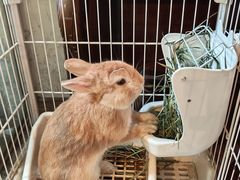 -懒鱼时光馆(沙坪坝店)