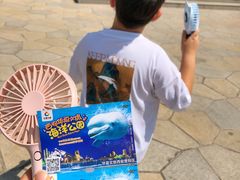 -华夏文旅海洋公园