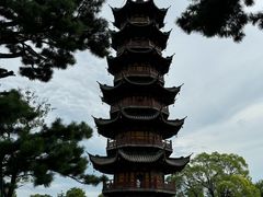 -龙华素斋(龙华路店)