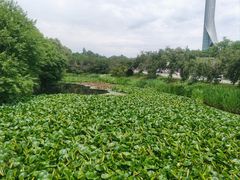 -沈阳植物园