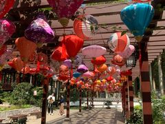 -深圳国际园林花卉博览园