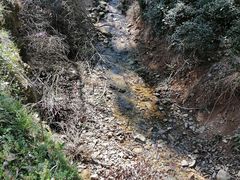 -北仑森林植物园