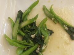 -锦粤宫·精致粤菜(深圳北站店)