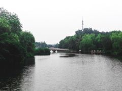 -溱湖国家湿地公园