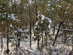 -阳台山自然风景区