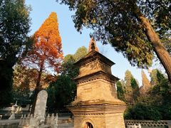 -兴教寺