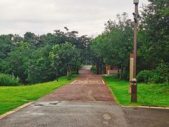 -盘龙城国家考古遗址公园