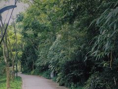-上海吴淞炮台湾国家湿地公园
