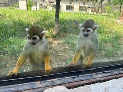 -石家庄市动物园