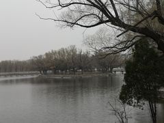 -北陵公园