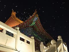 -曹州牡丹园