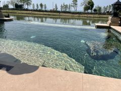 -苏州湾·王焰温泉