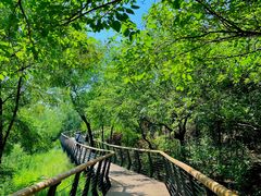 -白水寺森林公园