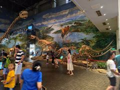 -自贡恐龙博物馆