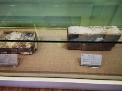 -延庆地质公园博物馆