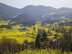 -牛街螺丝田