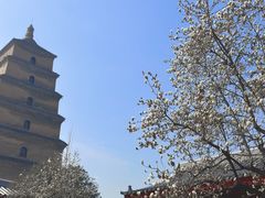 -大慈恩寺(大雁塔)