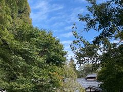 -西芳寺(苔寺)