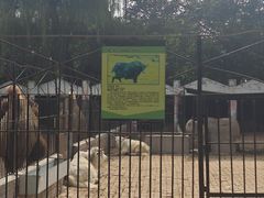 -保定市动物园