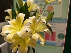 -布梵·台式热敷古法按摩Massage·Spa(品尊国际店)