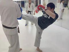 -极真空手道修远道场