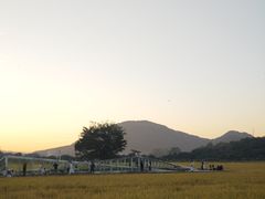 -风云岭森林公园