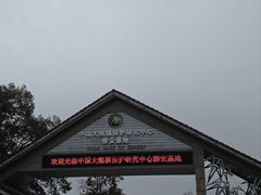 -中国大熊猫保护研究中心雅安碧峰峡基地