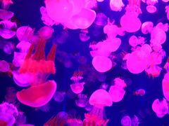 -波塞冬旅游度假区