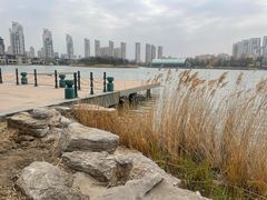 -天津梅江会展中心
