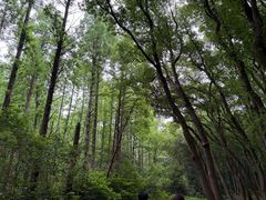 -同里国家湿地公园