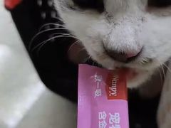 -芭比堂动物医院广州顽皮分院
