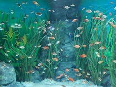 -上海海洋水族馆