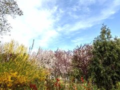 -大兴滨河森林公园