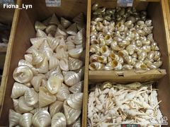 -亚龙湾中心广场·贝壳馆