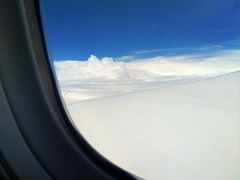 -味子夫鸡柳(解放碑总店)