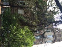 八大关景区-八大关景区