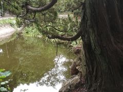 -叶家花园