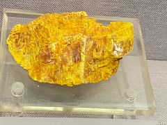 -湖南省地质博物馆