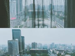 -成都明宇丽雅饭店
